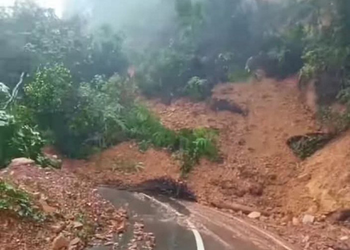 Bukit Rayo Sarolangun Kembali Longsor, Akses Jalan Terputus 