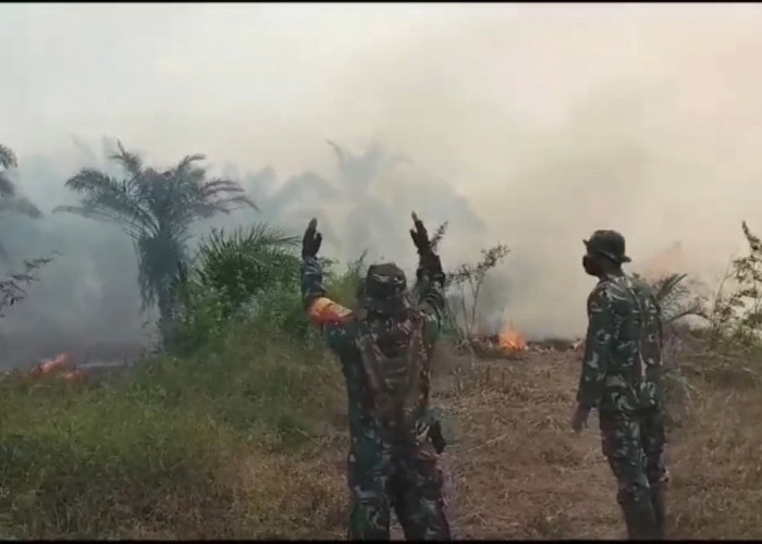 13 Hektar Lahan di Muaro Jambi Terbakar Dalam Sepekan