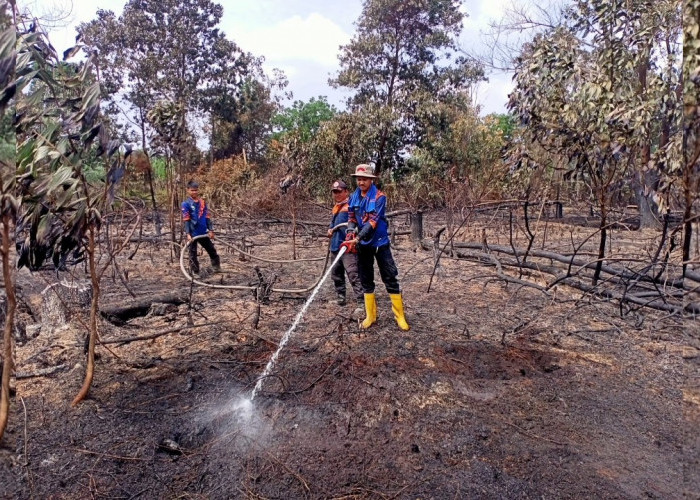 Kebakaran Lahan di Tangkit Mencapai 3 Hektare, Pembukaan Lahan Dengan Cara Dibakar Terancam Pidana