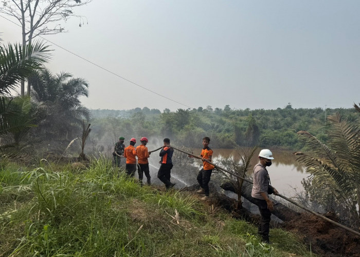 Hotspot Terdeteksi, Dua Hektare Lahan di Sarana Jaya Bungo Terbakar