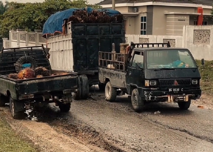 Dewan Soroti Jalan Padang Lamo di Tebo yang Tak Kunjung Diperbaiki: Seperti Ban Bocor di Tempel-tempel