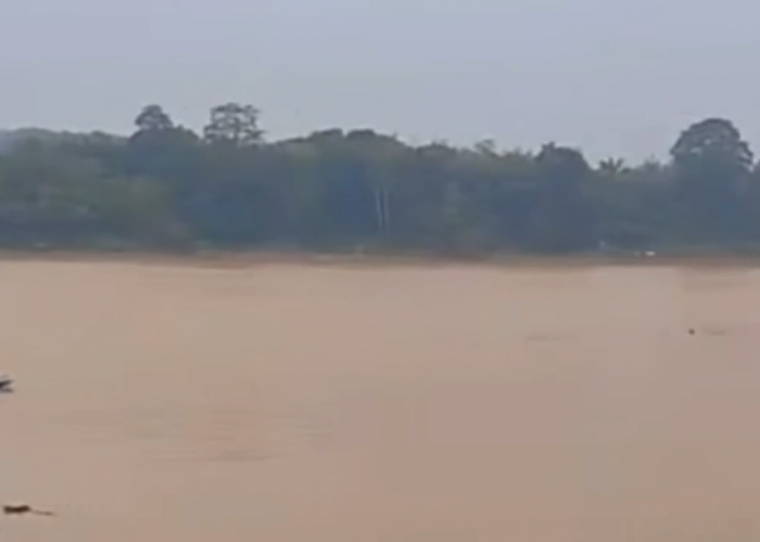 Bermain di Sungai Batanghari, Bocah 11 Tahun Tenggelam di Muara Tembesi