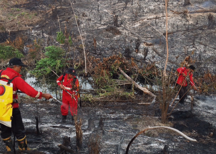 Waspada Karhutla! 11 Titik Api dan Puluhan Titik Panas Terdeteksi di Batanghari