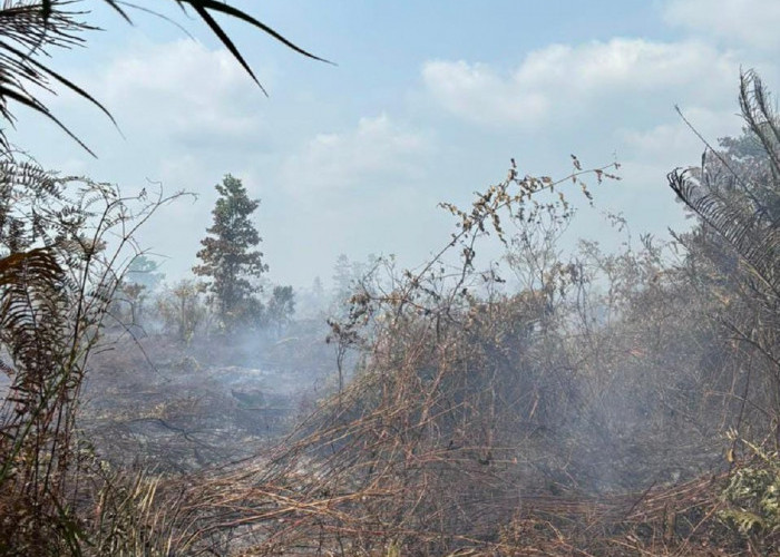 73 Desa di Muaro Jambi Rawan Karhutla, BPBD Siaga hingga 15 Oktober