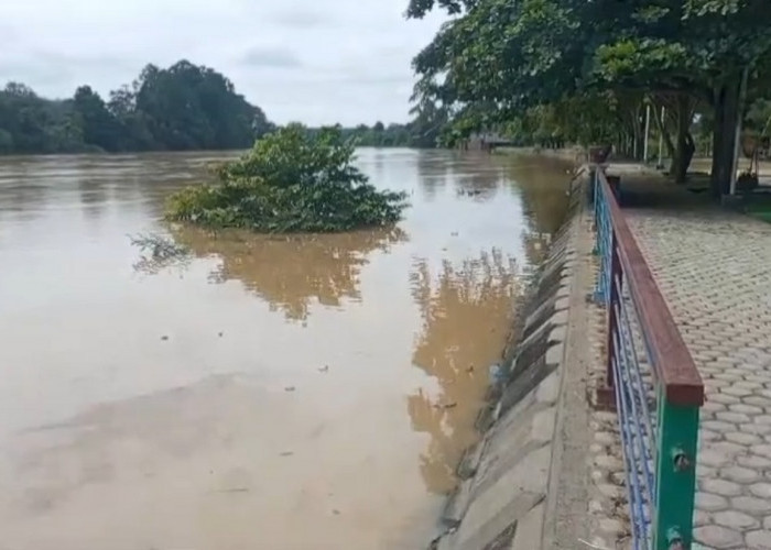 Kabupaten Tebo Tetapkan Status Siaga Banjir, BPBD Siapkan Tim Reaksi Cepat