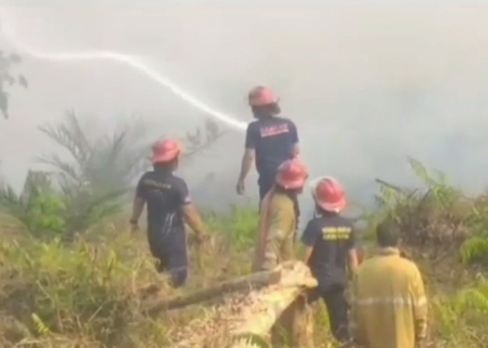 Kebakaran Lahan di Bungo, Kebun Sawit Seluas 5 Hektar Terbakar
