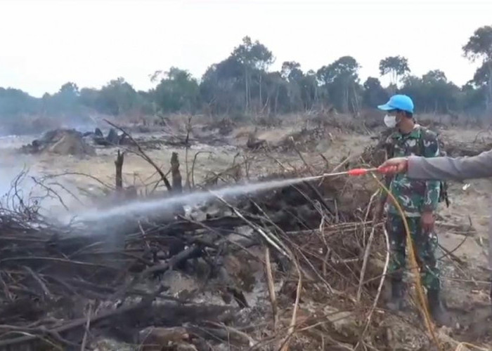 9,5 Hektare Lahan Mineral di Bahar Selatan Ludes Dilahap Api