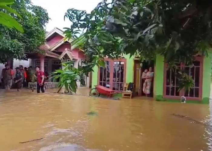 Bencana Banjir Terus Meluas, 61 Desa di Muaro Jambi Sudah Terendam