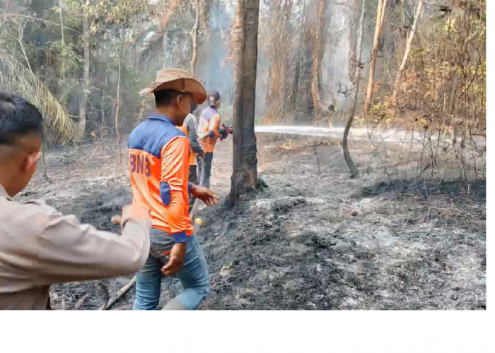 Karhutla Batang Hari, 10 Hektare Hutan di Kuali Pecah Bajubang Terbakar