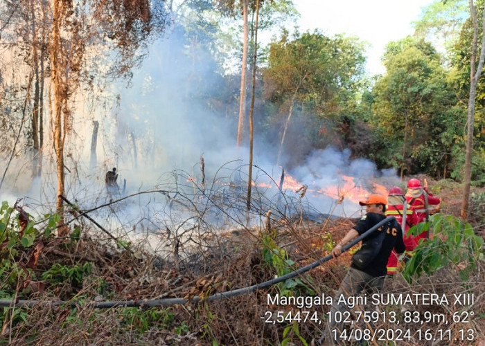 Karhutla di Sarolangun, Api Melahap 3 Hektar Lahan di Desa Simpang Nibung 