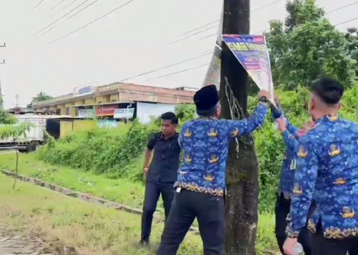 Wabup Tebo Nazar Cabut Paksa Reklame Yang Tak Bayar Pajak Disepanjang Jalinsum KM 12 