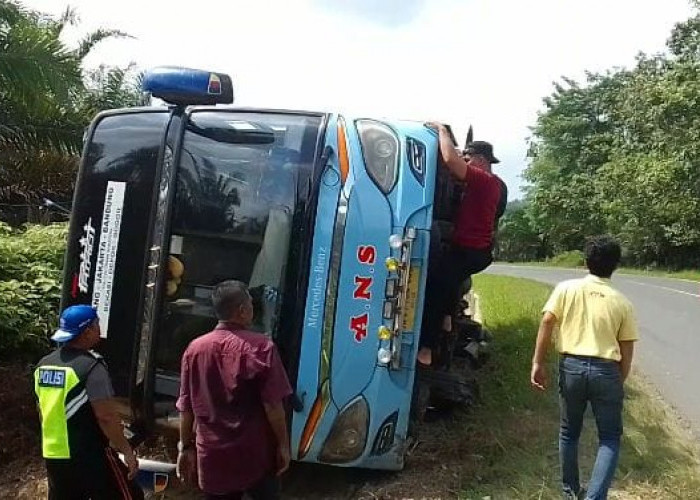 Bus ANS Terguling di Jalan Lintas Timur Sumatera