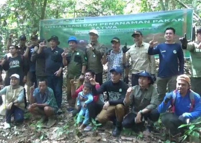 Cegah Konflik Manusia dan Satwa, PT ABT Gelar Sosialisasi, Edukasi dan Penanaman Pakan Satwa