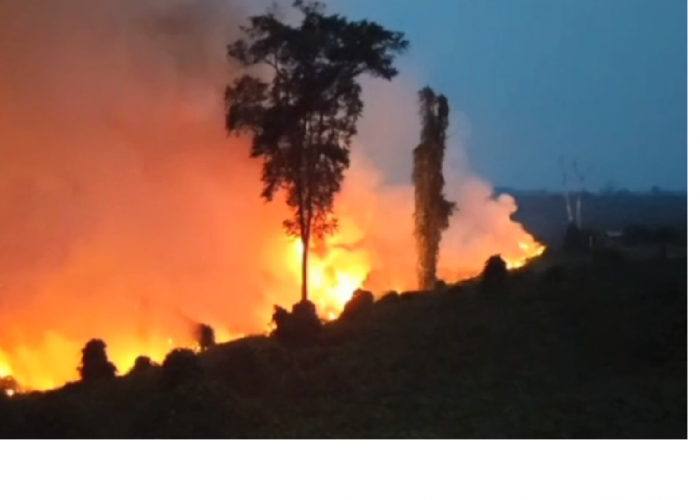 Karhutla Melanda Perbatasan Muara Sekalo dan PT TAL, Api Masih Berkobar