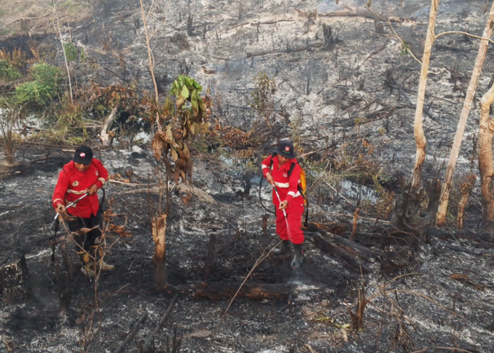 Petugas Gabungan Padamkan 5 Hektar Lahan Terbakar di Bajubang Batang Hari