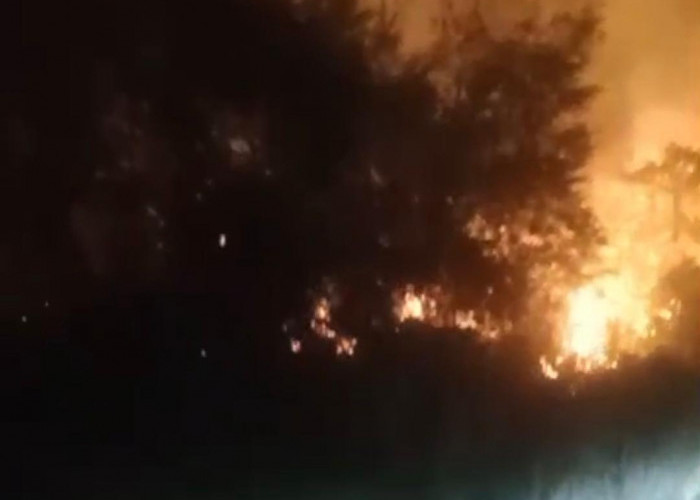 Lahan Kembali Membara di Muaro Jambi, Api Padam Setelah Hampir 2 Jam
