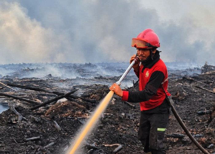 Di Balik Api Karhutla yang Dipadamkan, Ada Rindu yang Tak Terpadamkan