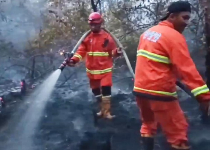 Dua Hektare Kebun Sawit dan Karet di Muara Tembesi Terbakar, Diduga Akibat Bakar Sampah
