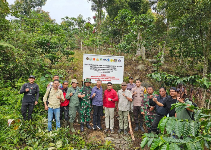 Satgas PKH Tertibkan Kawasan TNKS di Kerinci dan Sungai Penuh, Plang Informasi Dipasang di Lahan Ilegal