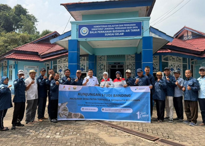 Desa Lopak Alai Bersiap Jadi Sentra Pembibitan Patin