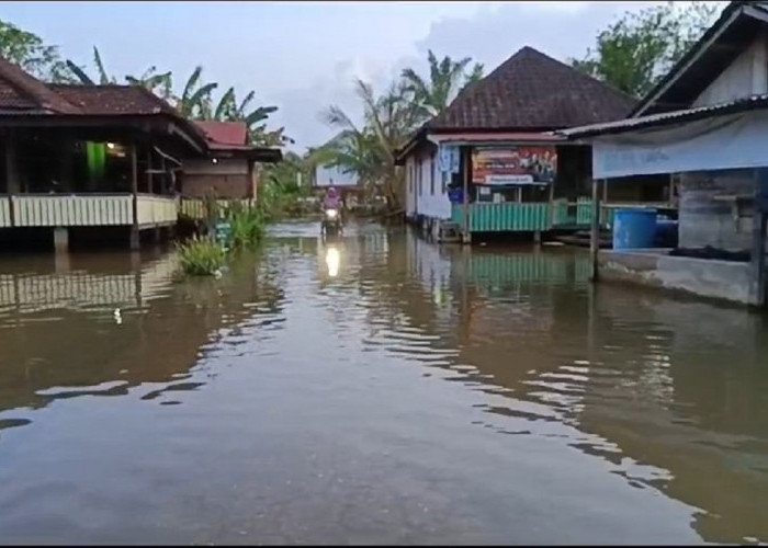 Baru Sebentar Surut, Untuk Ketiga  Kalinya Banjir Rendam Ratusan Rumah Warga di Desa Sarang Burung