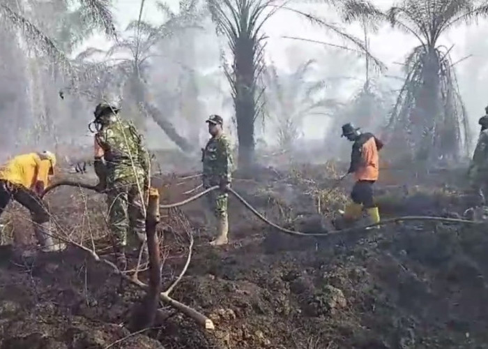 Lahan Yang Terbakar di Desa Ramin Mencapai 18 Hektare 