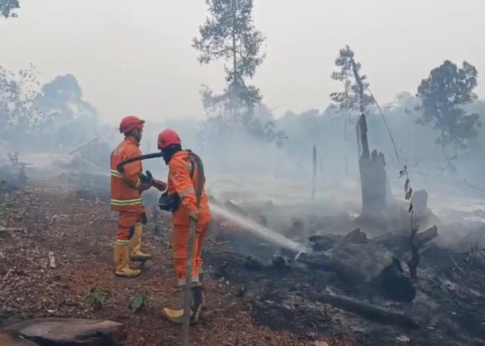 Sempat Nihil Usai Hujan, Tiga Titik Karhutla Kembali Muncul di Batang Hari