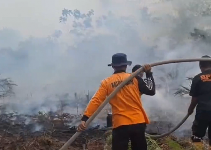 Luas Hutan dan Lahan Terbakar di Batanghari Capai 1.316 Hektare