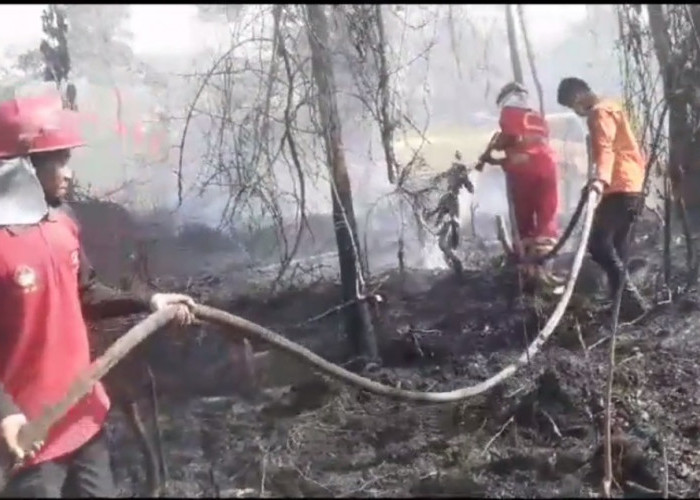 Setengah Hektar Kebun Sawit Terbakar, Tim Satgas Padamkan Api Selama 2,5 Jam