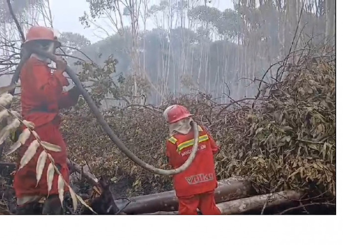 8 Hektar Lahan di Aurgading Membara, Sudah 3 Hari Petugas Berjibaku Padamkan Api