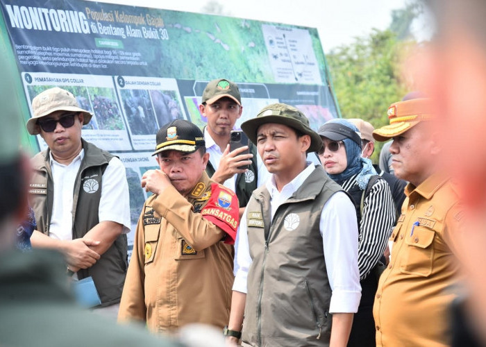 Dampingi Menhut Raja Juli, Al Haris Tinjau Konservasi Gajah dan Hutan Desa di Jambi