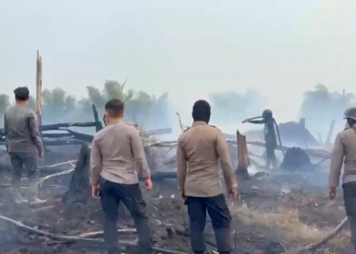 Siaga Karhutla! Ratusan Hektare Lahan di Tebo Terbakar, Kecamatan Sumay Paling Dominan