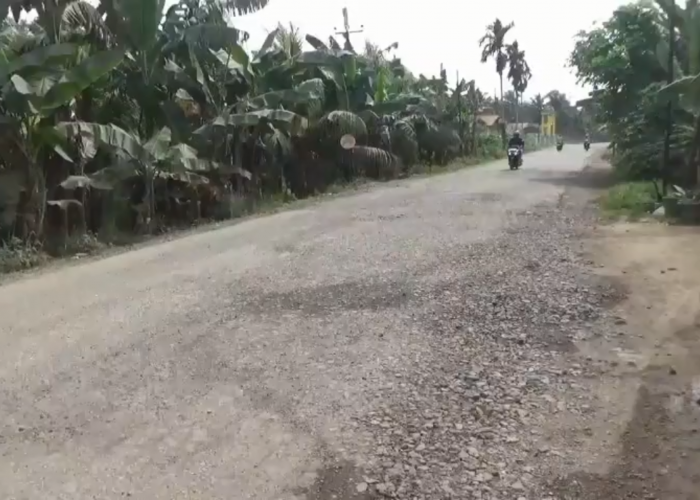 Pemdes Talang Duku Desak Pemerintah Tuntaskan Jalan Impres