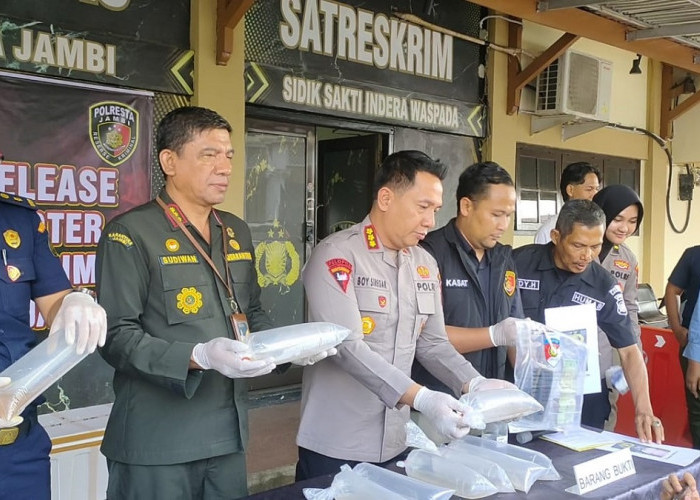 Kurir Dibayar Rp3 Juta, Polisi Sita 47.872 Benih Lobster Senilai Rp7,1 Miliar