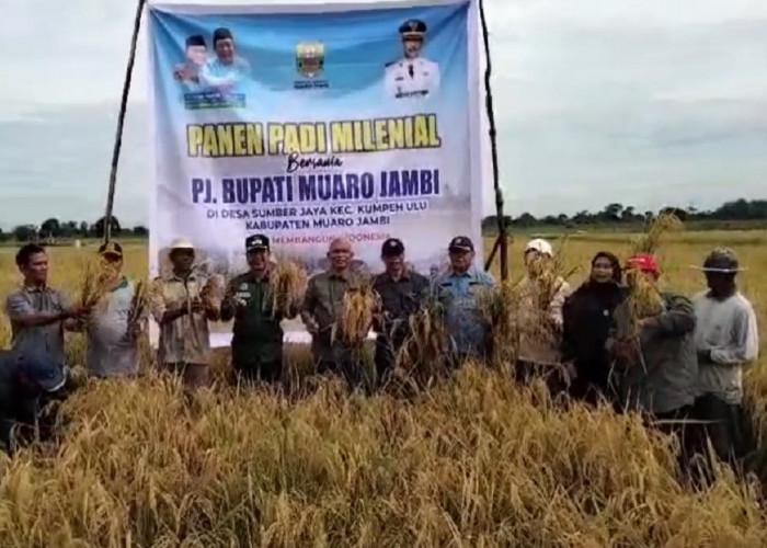 Panen Raya Perdana Petani Milenial di Muaro Jambi: Pj Bupati Dorong Optimalisasi Produktivitas Padi