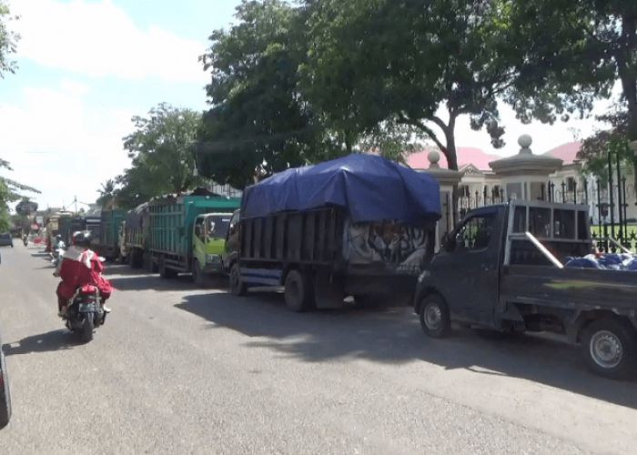 Polemik Angkutan Batubara, Polda Jambi Minta Dinas ESDM dan Dishub Juga Bergerak