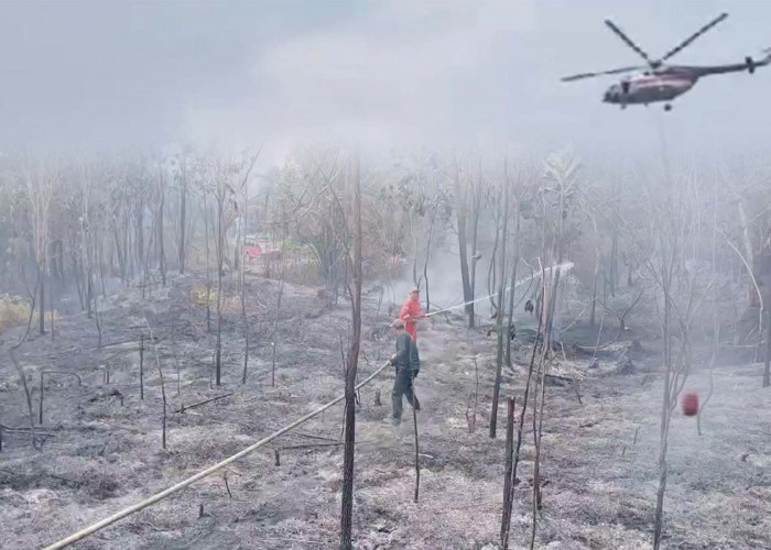 Luas Lahan Terbakar di Batanghari Sudah Mencapai 560 Hektar