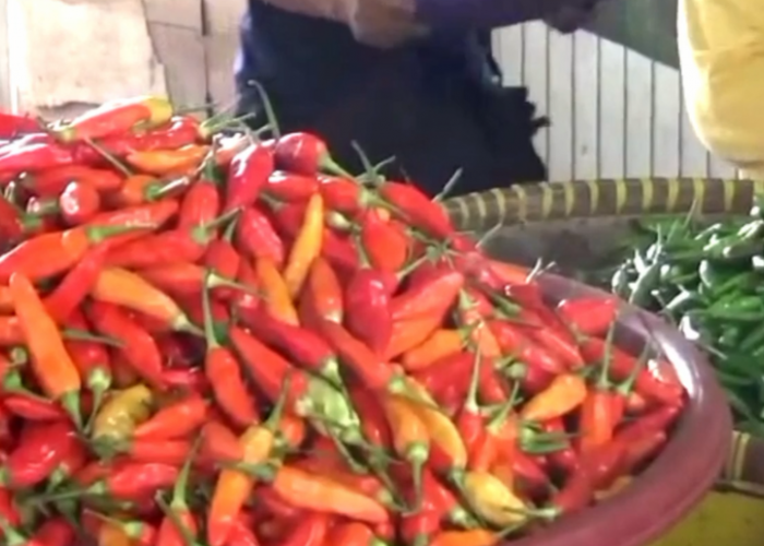Harga Cabai di Pasar Aurduri Jambi Melambung Pasca Lebaran