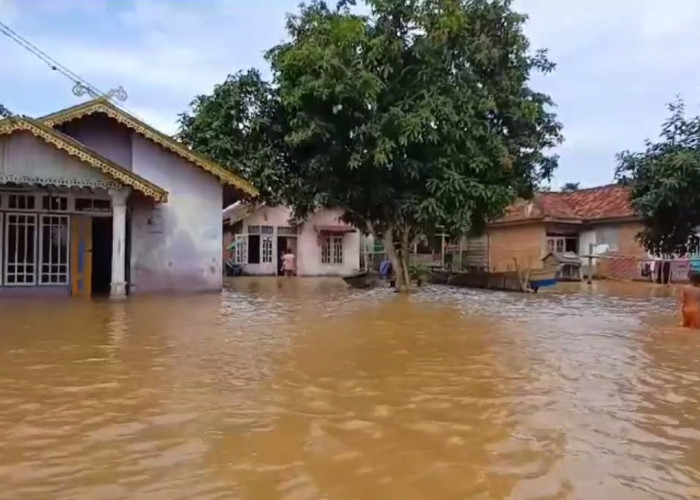 Warga Muaro Jambi Diminta Waspadai Ancaman Hewan Berbisa Saat Banjir
