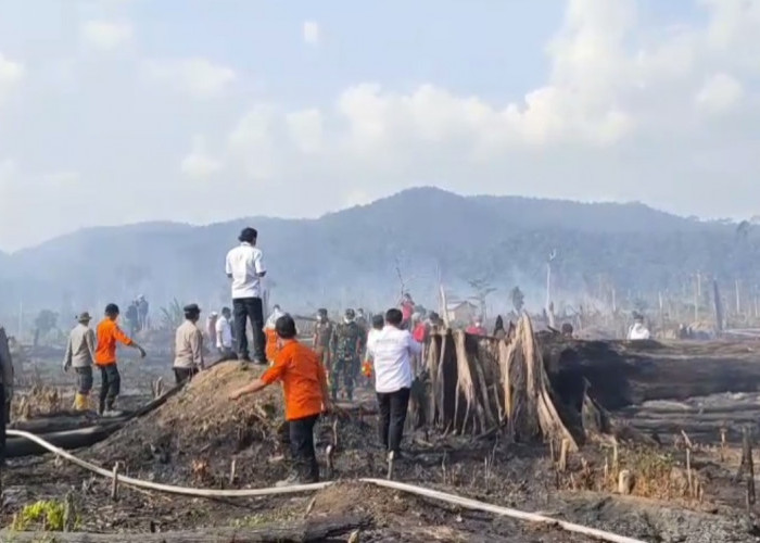 Lahan Yang Berdekatan Dengan Taman Nasional Bukit Tiga Puluh Terbakar, Dandim 0416 Bute Siagakan Personel