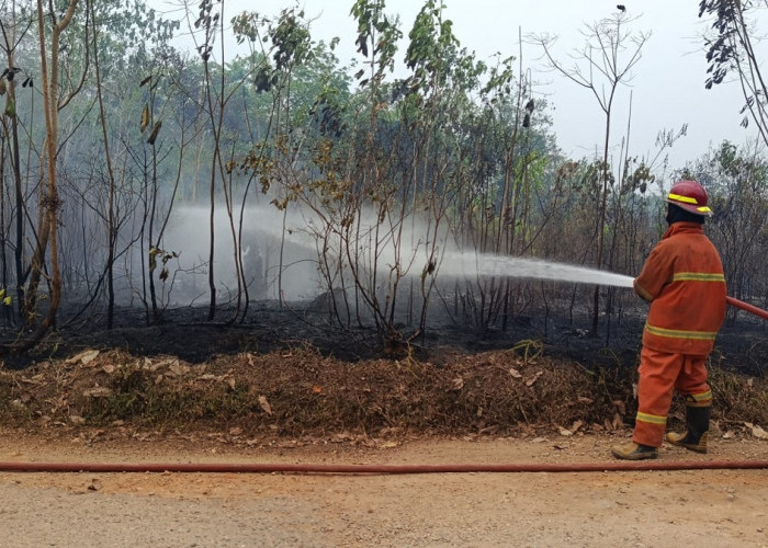 Damkar Muaro Jambi Kembali Berjibaku Padamkan Kebakaran Lahan di Jaluko