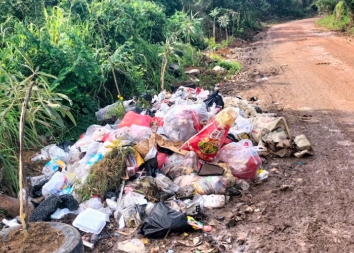 Baru Sehari Ditutup, Tps Ilegal Di Pematang Gajah Kembali  Di Penuhi Sampah 