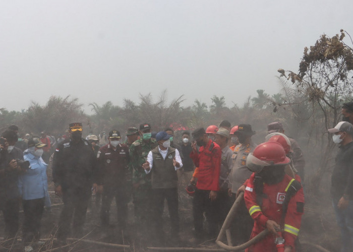 Menteri Kehutanan Tinjau Penanganan Karhutla di Tanjab Timur, Kapolda Jambi Tekankan Sinergi, Pencegahan dan P