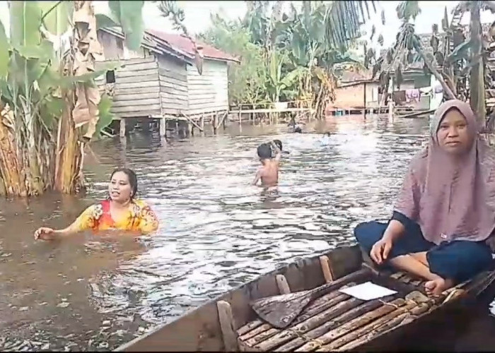 39 Desa Sudah Terendam Banjir di Muaro Jambi, 1.920 KK Korban Banjir Menunggu Bantuan
