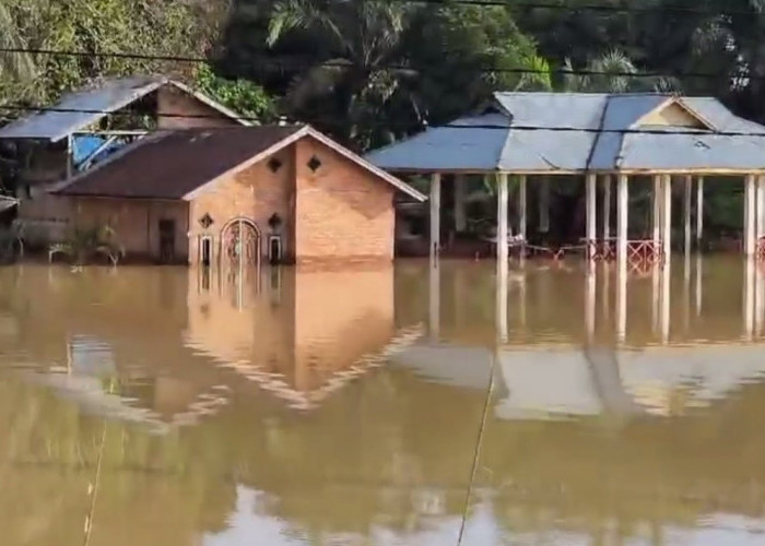 Sudah 6 Hari, 4 Desa di Kecamatan Pauh masih Terendam Banjir
