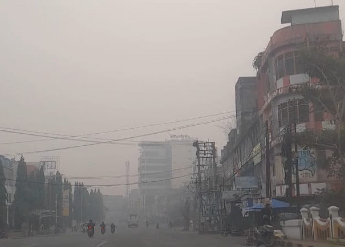 Jambi Kembali Diselimuti Kabut Asap, Kualitas Udara Kota Jambi dan Tebo Berbahaya