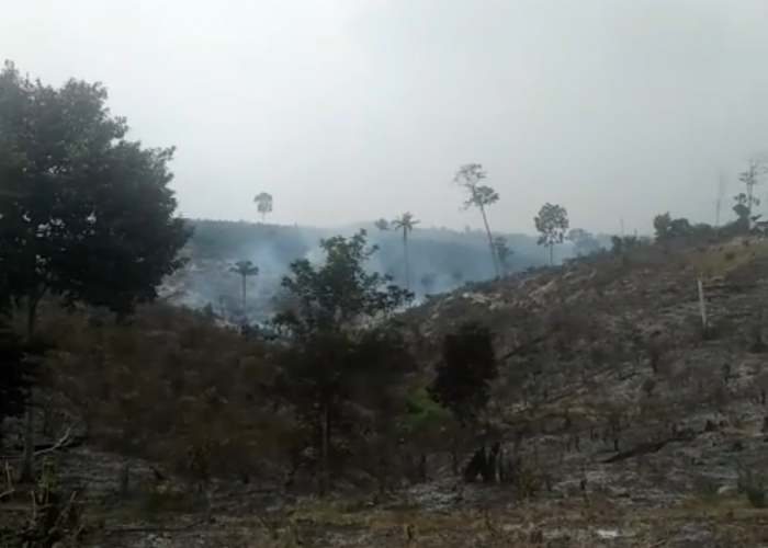 Lahan di Desa Aburan Batang Tebo Terbakar, Api Padam Diguyur Hujan
