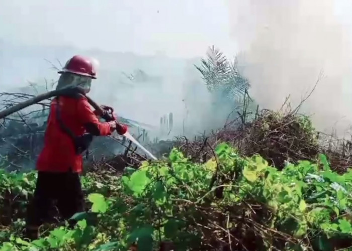 Kebakaran Lahan di Desa Tinting Belum Padam, Sudah 3 Hari Petugas Masih Berjibaku Padamkan Api 