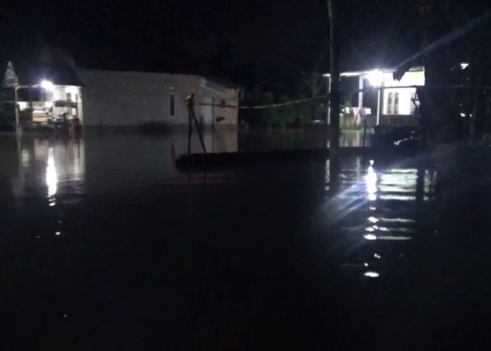 Banjir di Desa Tangkit Juga Merendam Jalan dan Kebun Warga, Warga Harapkan Bantuan Pemerintah