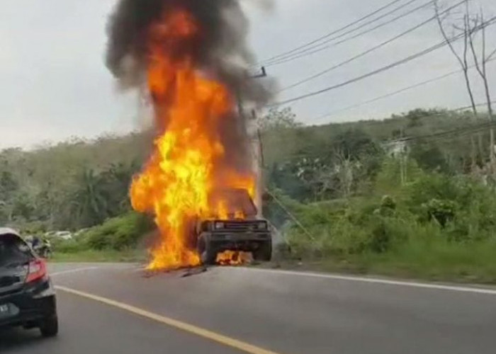 Mobil Jeep Terbakar di Pinggir Jalan Lintas Bungo - Jambi